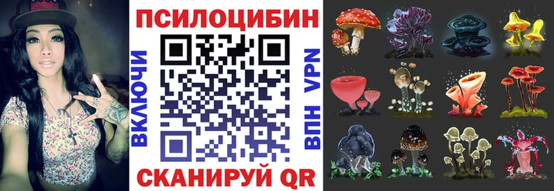 магазин  наркотиков  Полтавская  Галлюциногенные грибы Magic Shrooms 